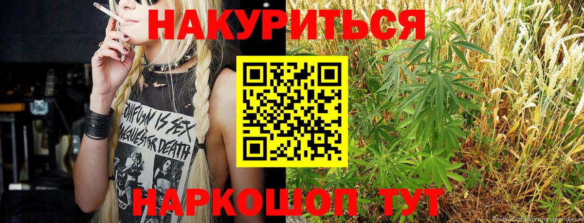 Каннабис сатива Орехово-Зуево